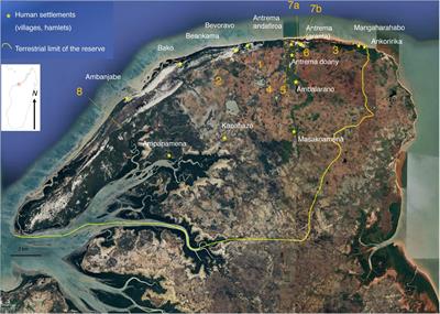 Forest Fragments, Lemur Communities and Local Perception of Nature in a Protected Area of Northwestern Madagascar